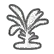 Ensete