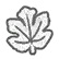 Jijeongta Leaf